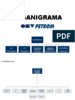 Organigrama Omv Petrom