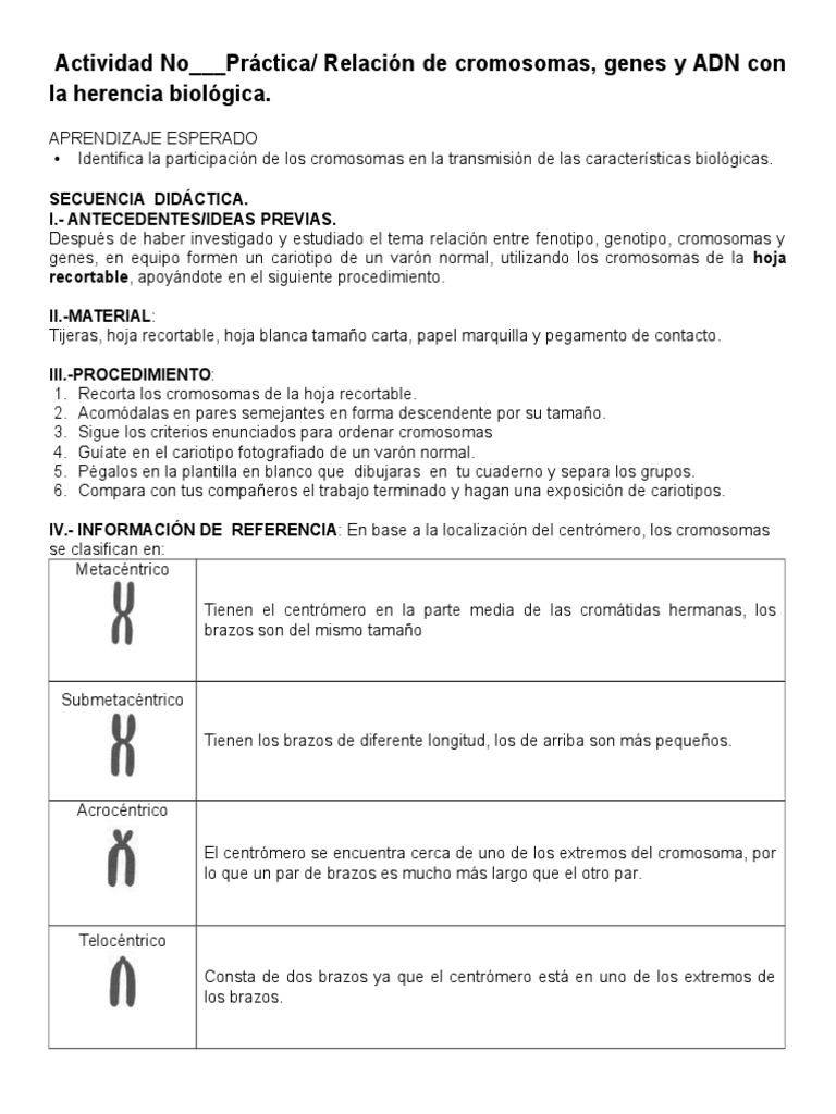Actividad No PRACTICA CARIOTIPO HUMANO | PDF, image size:768x1024