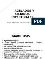 4 Flagelados y Ciliados Intestinales