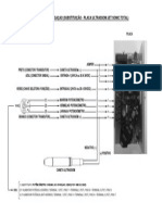 Diagrama de Ligaçao (Substituição - Placa Ultrassom Jet Sonic Total) PDF