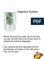 digestive systemg7