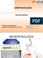 1 Fisiologia Neuronal NFSLG KINE UDLA 2013