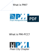 What Is PMI?