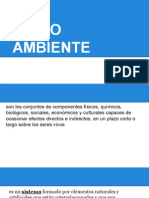 Medio Ambiente