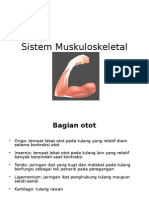 Sistem Muskuloskeletal