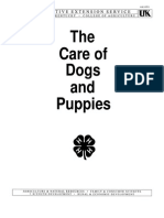 The Care of Dogs and Puppies Guide