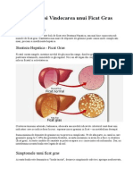 Simptomele Si Vindecarea Unui Ficat Gras
