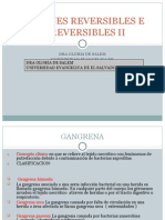 05-Lesiones Reversibles e Irreversibles II Clase
