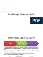 Embriologc3ada Cabeza y Cuello