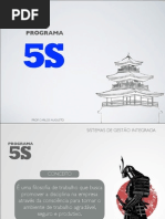Programa 5S_ Prof Carlos Augusto