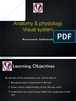 Anatomy Physiology Visual System April 2013