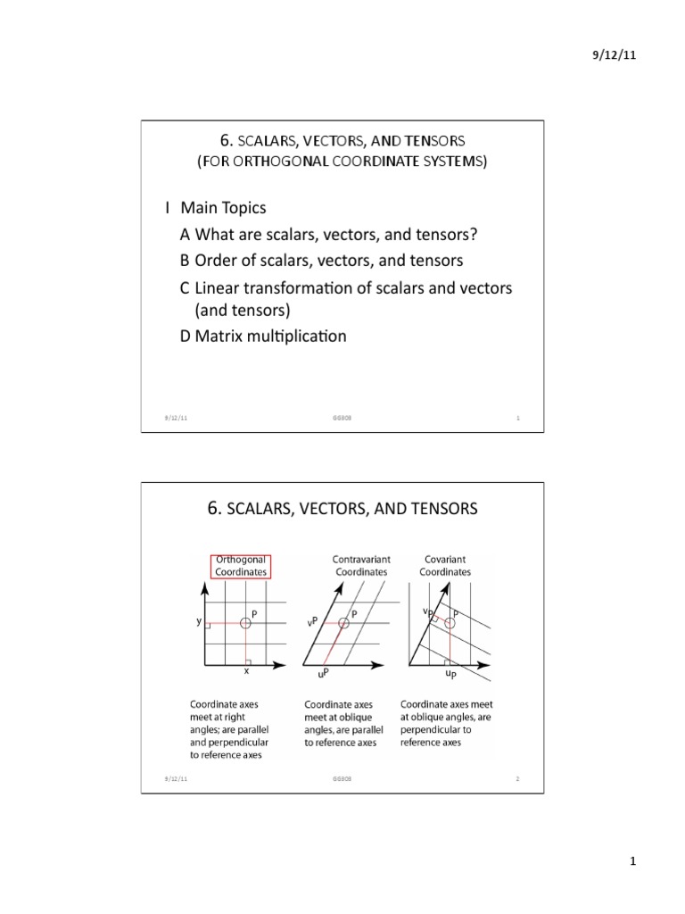 Scalars, Vectors, and Tensors Explained | PDF | Tensor | Euclidean Vector
