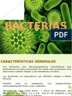 Bacterias1 Copia