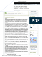 Improved Methods for in-Vitro Plant Regeneration