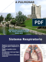 Anatomía Pulmonar