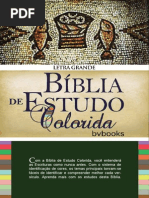 Bíblia de Estudo Colorida