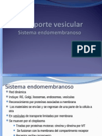 Transporte Vesicular