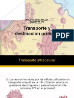 Transporte y Destinación Proteica