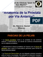 Anatomia Prostatica Via Anterior