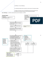 Dengue Hemorrhagic Fever Pathophysiology