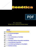 genética y leyes de mendel.pdf