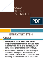 Induced Pluripotent