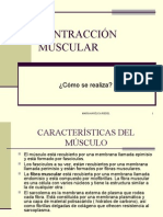 contraccion muscular2007