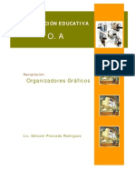 Organizadores Graficos