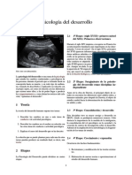 Psicología Del Desarrollo