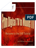 CSTB 2007 DVB Tutorial 1IitMi