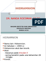 HIDRAMNION