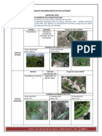 Resultados NMP-