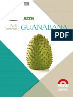 Perfil Comercial de Guanabana-ok