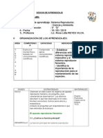 Sistema reproductor humano