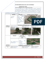 Análisis Microbiológico de Sitio Alterado