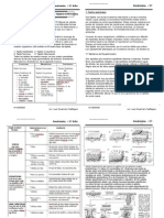 Ficha de Anatomia 5º