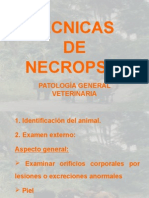 Tecnicas de Necropsia