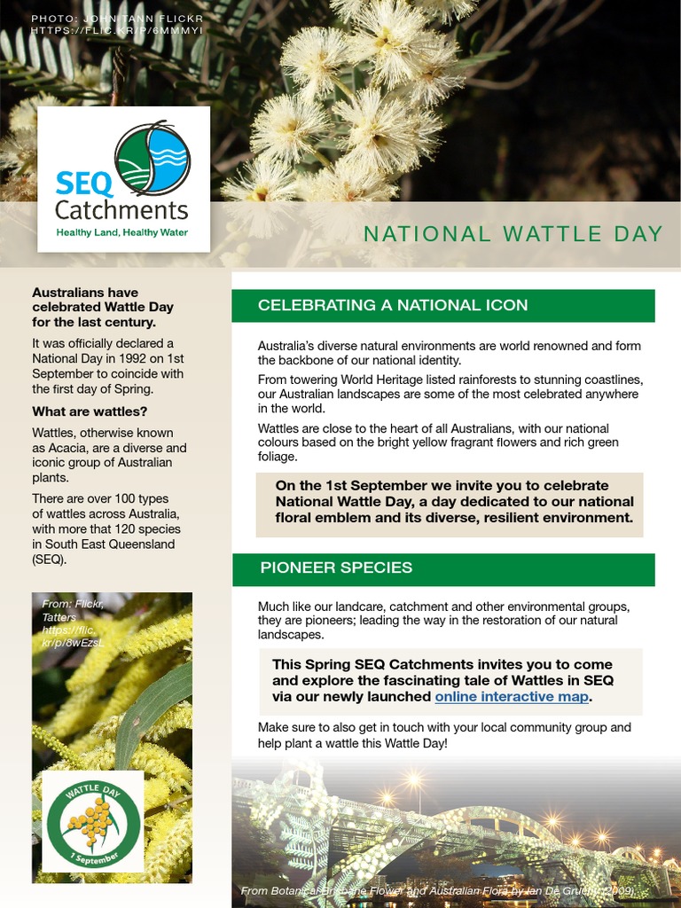 Celebrating National Wattle Day PDF