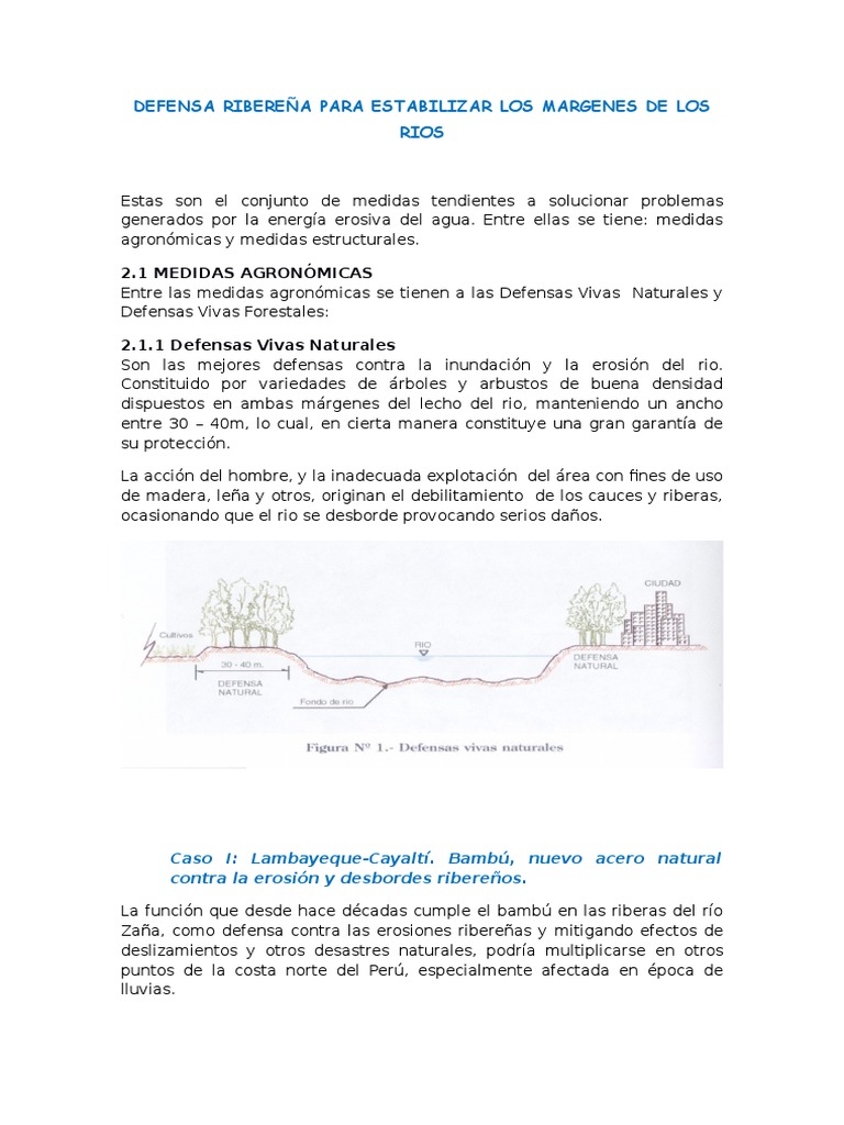 Defensa Ribereña para Estabilizar Los Margenes de Los Rios | PDF ...