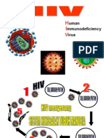 Info Dasar HIV-AIDS