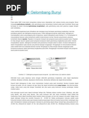 Materi Bunyi Docx