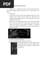 Download JAMUR zygomycota by gilang fauzi SN27512709 doc pdf