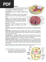 Download Animal Cell Organelles by akhileshmoney SN27513185 doc pdf