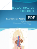 DR - Ardhi-Embriologi Tractus Urinarius
