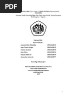 Download Budidaya Padi by Meuthia Khanza SN275142899 doc pdf