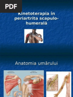 Kinetoterapia PSH 2