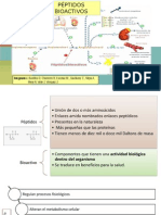 Peptidos Bioactivos 