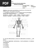 Prueba Sistema Locomotor