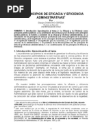 CAMACHO Los Principios de Eficacia y Eficiencia (1)