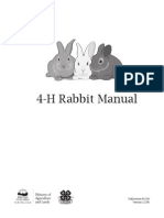 4h Rabbit RG